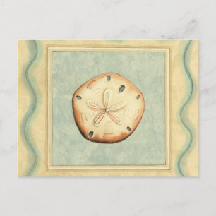 Shell Collector Briefkaart