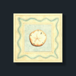 Shell Collector Canvas Afdruk<br><div class="desc">Megan Meagher staat bekend om haar eenvoudige kunstwerken. Dit afbeelding geeft de eenvoud weer van de schatten van de kust, van een eenvoudige zeeslag in een zeegrens lijst. Meagher heeft een blauwgroen achtergrond in haar afbeelding om deze schatten te vergelijken. Profiteer vandaag nog van deze fijne kunst op uw Zazzle-product....</div>