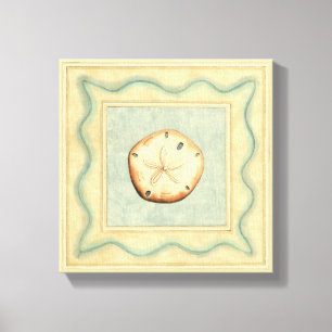 Shell Collector Canvas Afdruk