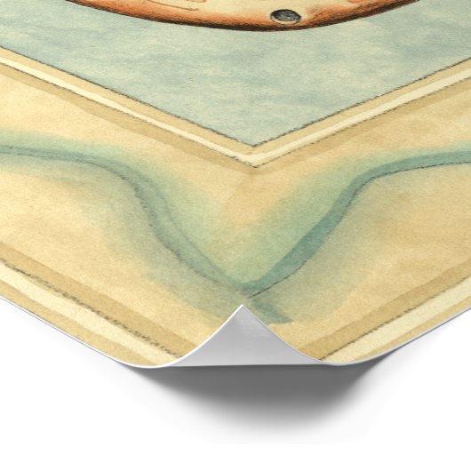 Shell Collector Poster (Hoek)