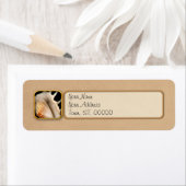 Shell - Conchologie - Conch Etiket (Insitu)