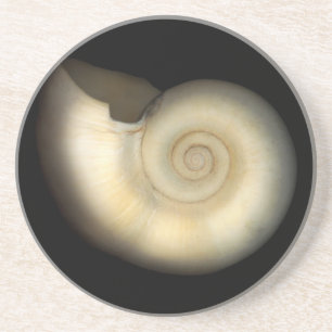 Shell - Conchologie - Nautilus Zandsteen Onderzetter