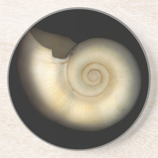 Shell - Conchologie - Nautilus Zandsteen Onderzetter (Voorkant)