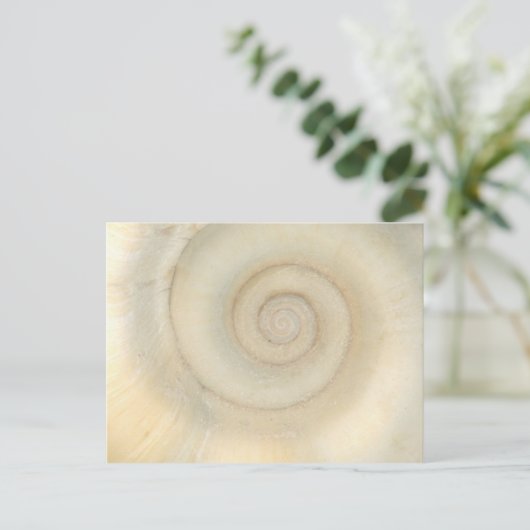 Shell - Conchologie - White Spiral Briefkaart (Staand voorkant)