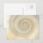 Shell - Conchologie - White Spiral Briefkaart (Voorkant / Achterkant)