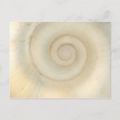 Shell - Conchologie - White Spiral Briefkaart (Voorkant)