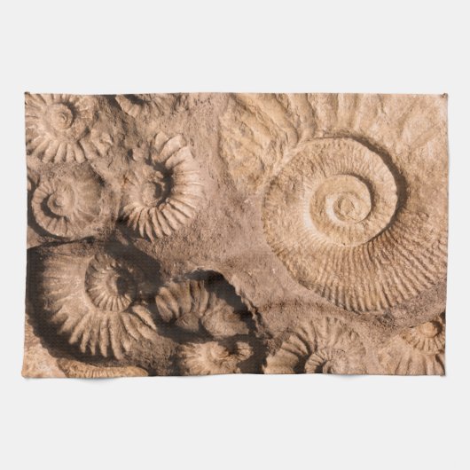 Shell Fossils Theedoek (Horizontaal)