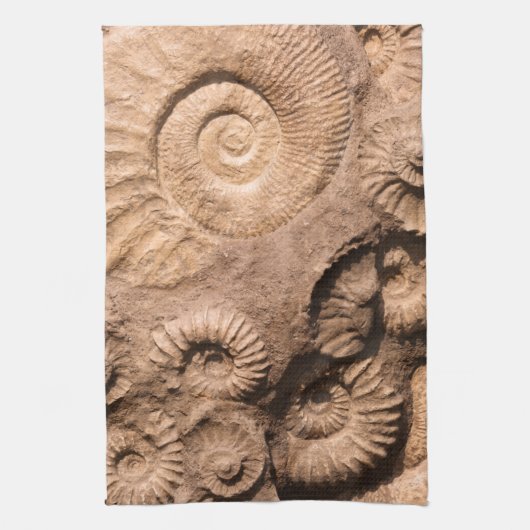 Shell Fossils Theedoek (Verticaal)