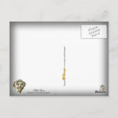 Shell-gezichten Briefkaart (Achterkant)
