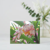 Shell Ginger Flowers Floral Briefkaart (Staand voorkant)