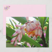 Shell Ginger Flowers Floral Briefkaart