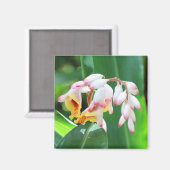 Shell Ginger Photo Square Magnet (Voorkant / Achterkant)