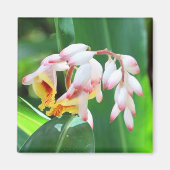 Shell Ginger Photo Square Magnet (Voorkant)