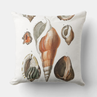  Shell Illustration Pillow Buitenkussen
