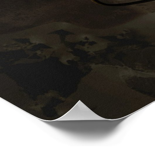 Shell in de duisternis poster (Hoek)