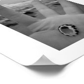 Shell in handen poster (Hoek)