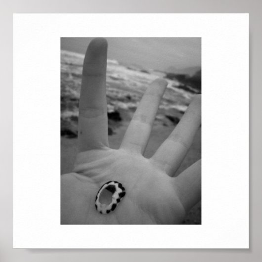 Shell in handen poster (Voorkant)