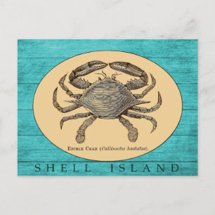 Shell Island Crab Briefkaart