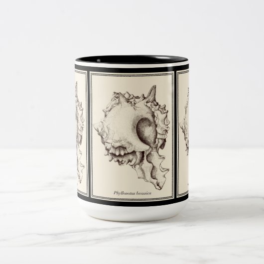 "Shell lover - I" zwarte & witte mok (Center)