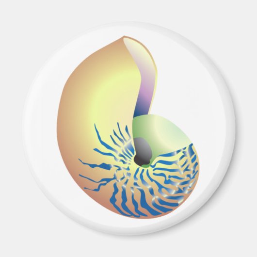 SHELL MAGNEET (Voorkant)