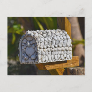 Shell Mailbox, Fort Myers Beach, Florida Briefkaart