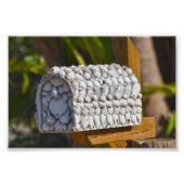 Shell Mailbox, Fort Myers Beach, Florida Foto Afdruk (Voorkant)