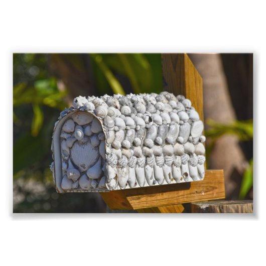 Shell Mailbox, Fort Myers Beach, Florida Foto Afdruk (Voorkant)
