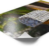 Shell Mailbox, Fort Myers Beach, Florida Foto Afdruk (Hoek)