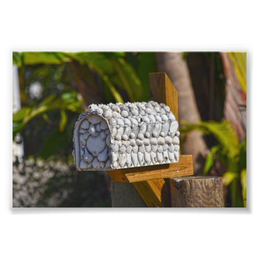 Shell Mailbox, Fort Myers Beach, Florida Foto Afdruk (Voorkant)