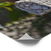 Shell Mailbox, Fort Myers Beach, Florida Poster (Hoek)