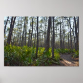 Shell Mound Park Trail, Dauphin Island, Al Poster (Voorkant)