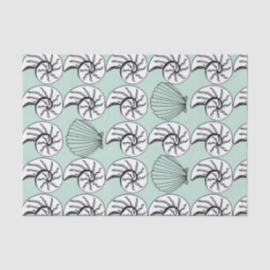 Shell Nautilus Scallop Nautical Beach-weefselpapie Tissuepapier