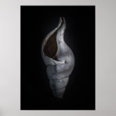 Shell No 4 Color Version Poster (Voorkant)