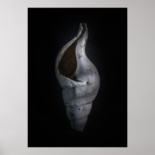 Shell No 4 Color Version Poster (Voorkant)