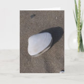 Shell op Sand Condolence Kaart (Voorkant)