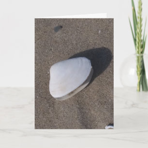 Shell op Sand Condolence Kaart