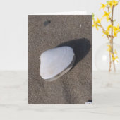 Shell op Sand Condolence Kaart (Gele Bloem)