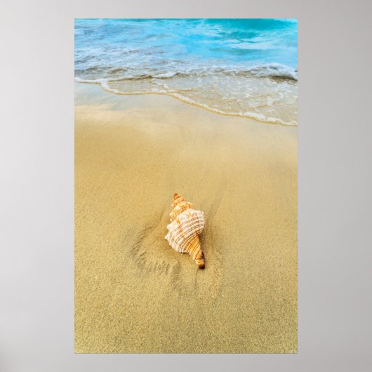 Shell op strand | Jamaica Poster (Voorkant)