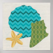 Shell Pattern II Poster (Voorkant)
