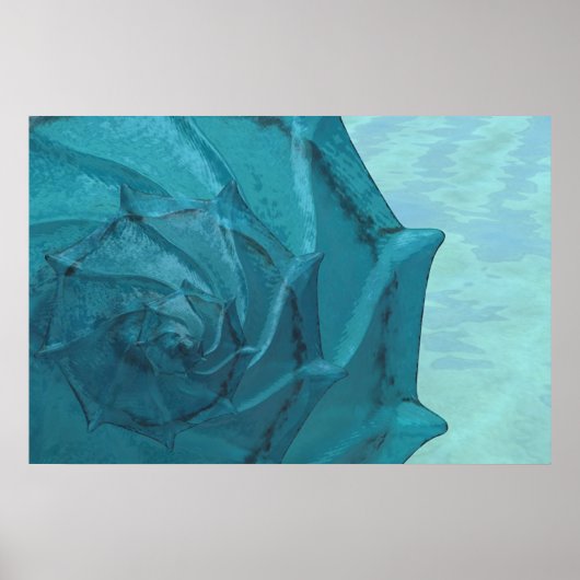 Shell Poster (Voorkant)