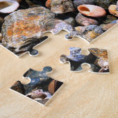 Shell Puzzle Legpuzzel (Zijkant)