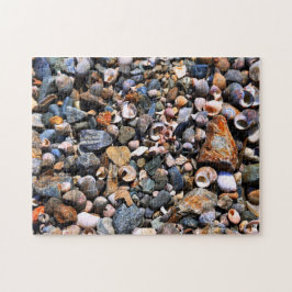 Shell Puzzle Legpuzzel
