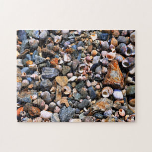 Shell Puzzle Legpuzzel