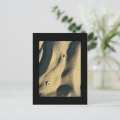 Shell Sand and Shadows-Briefkaart Briefkaart (Staand voorkant)