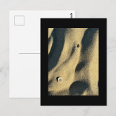 Shell Sand and Shadows-Briefkaart Briefkaart (Voorkant / Achterkant)