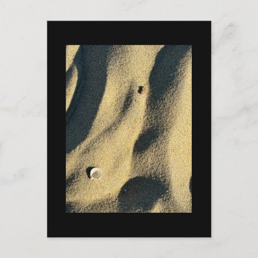 Shell Sand and Shadows-Briefkaart Briefkaart (Voorkant)
