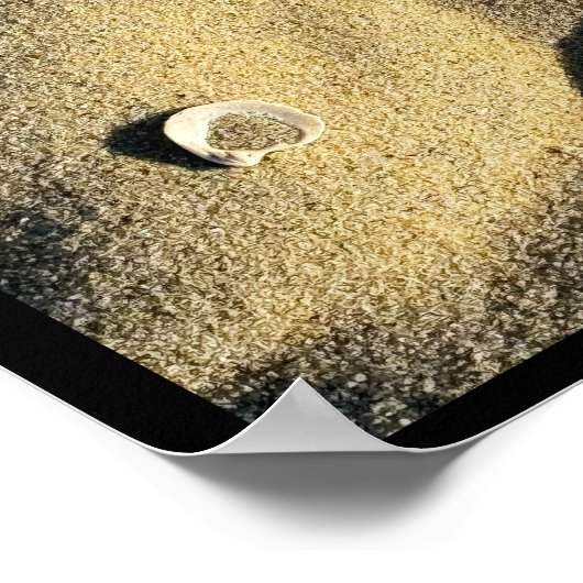 Shell Sand and Shadows-Poster Poster (Hoek)