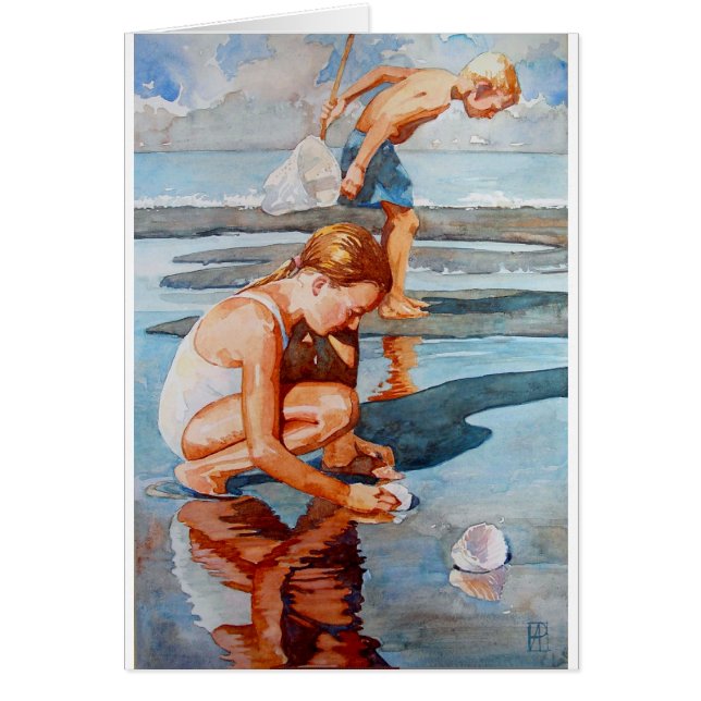 Shell Seekers (Voorkant)