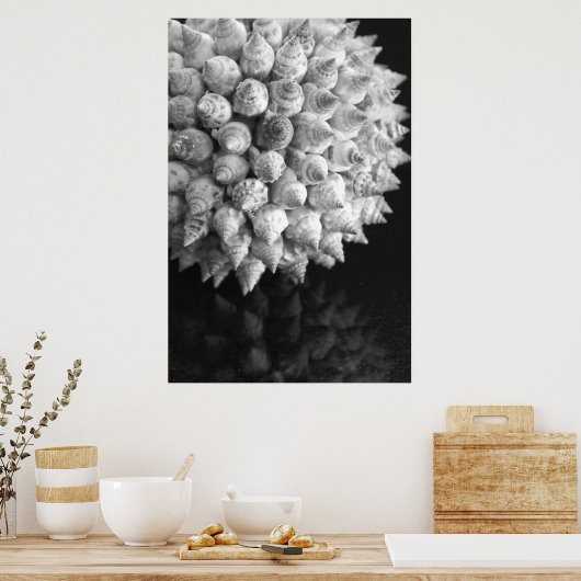 Shell Sphere Poster (Keuken)