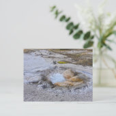 Shell Spring in Yellowstone National Park, Wyoming Briefkaart (Staand voorkant)